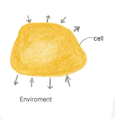 image:1.metabolism.gif