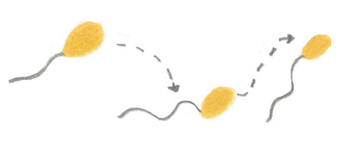 image:5.movement.jpg