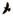 Image:Favicon trans.gif