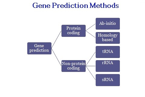 File-GeneMethod.jpg