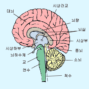 니구조.gif
